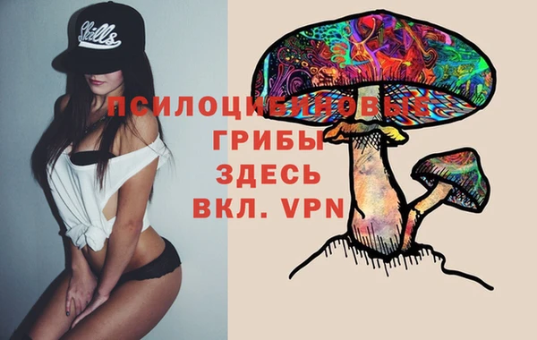ALPHA-PVP Инсар