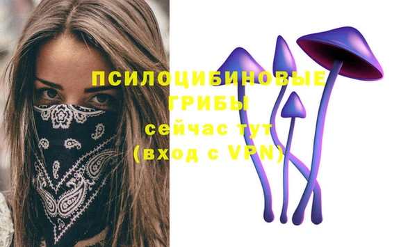 синтетический гашиш Инта