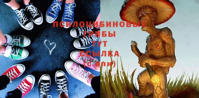 Галлюциногенные грибы Magic Shrooms  Ковров 