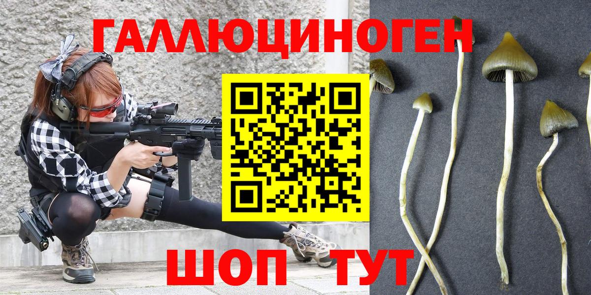 Галлюциногенные грибы Magic Shrooms Ковров